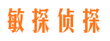 衡水私家侦探